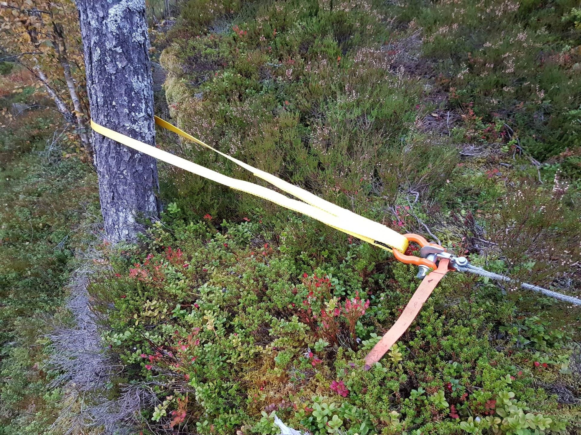 17 Useful ATV Winch Accessories and Equipement